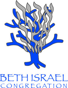 Beth Israel Congregation – BIOM USY and Kadima